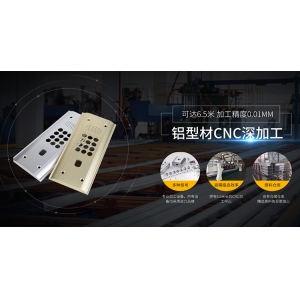 中国经济以实干之态迎向好之势